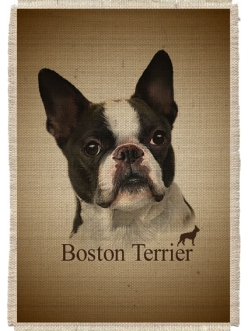 Картина на мешковине арт.535  "Бостон Терьер"