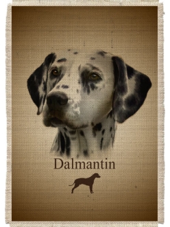 Картина на мешковине арт.541  "Далматин"